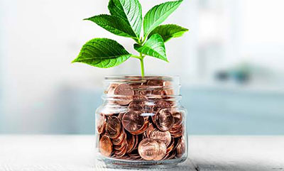 A green sprout is growing out of a clear glass jar that is full of coins