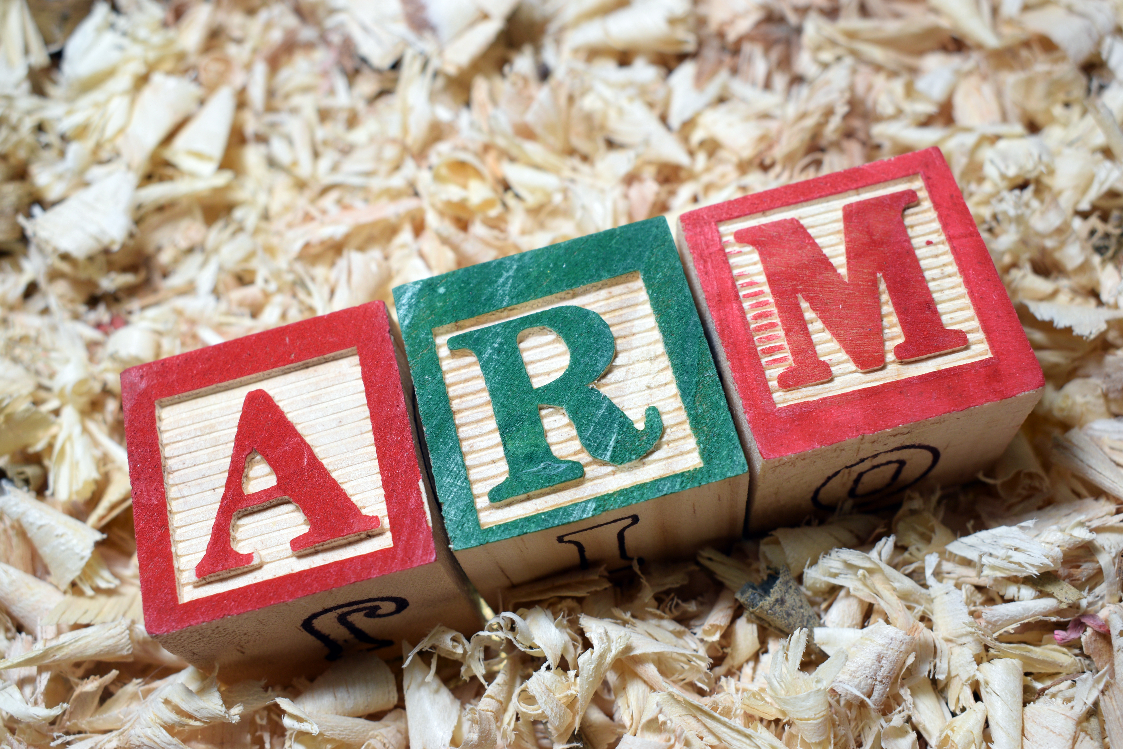 What is an Adjustable Rate Mortgage (ARM)?